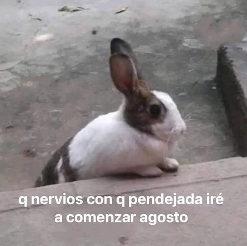 GIF subido por Edwing