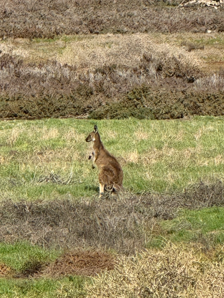 GIF uploaded by Sam
