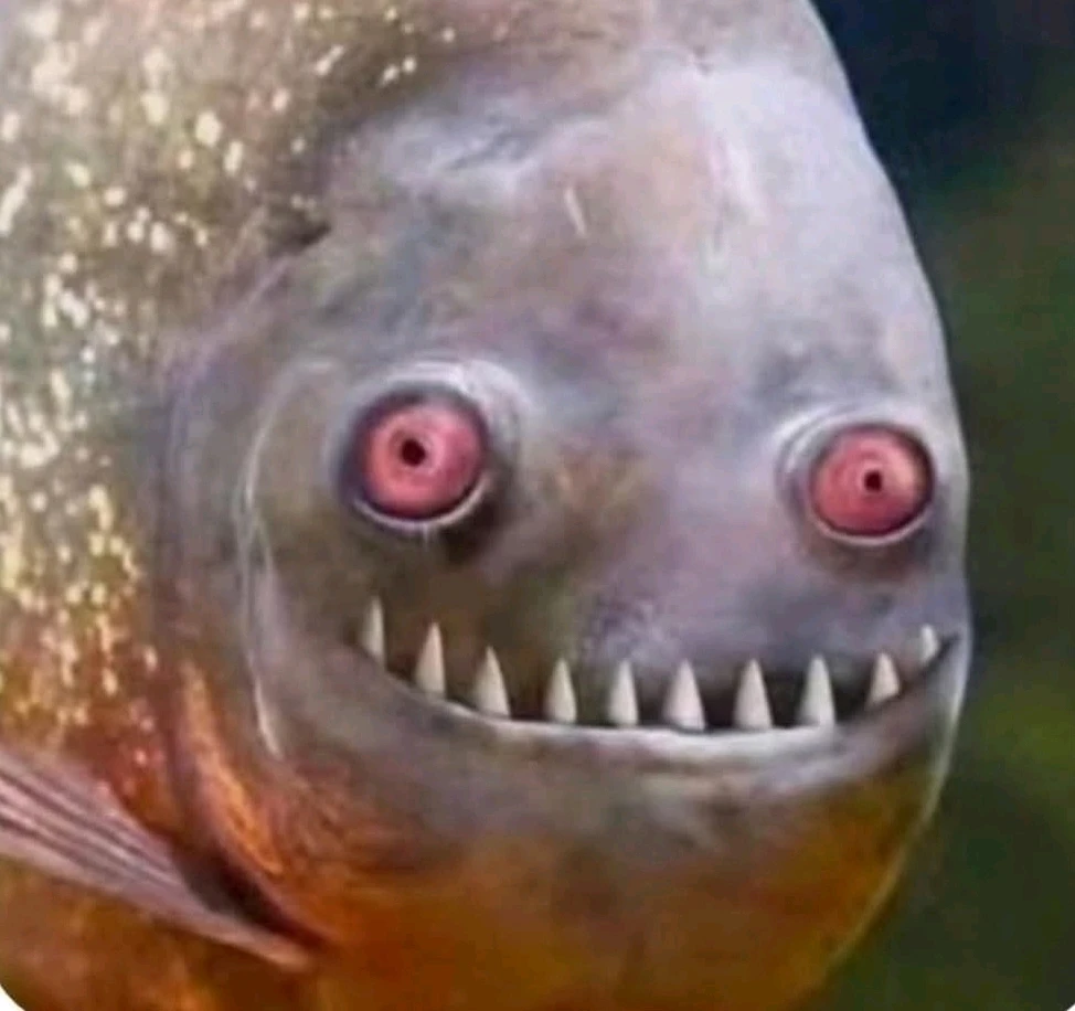 GIF hochgeladen von Doris