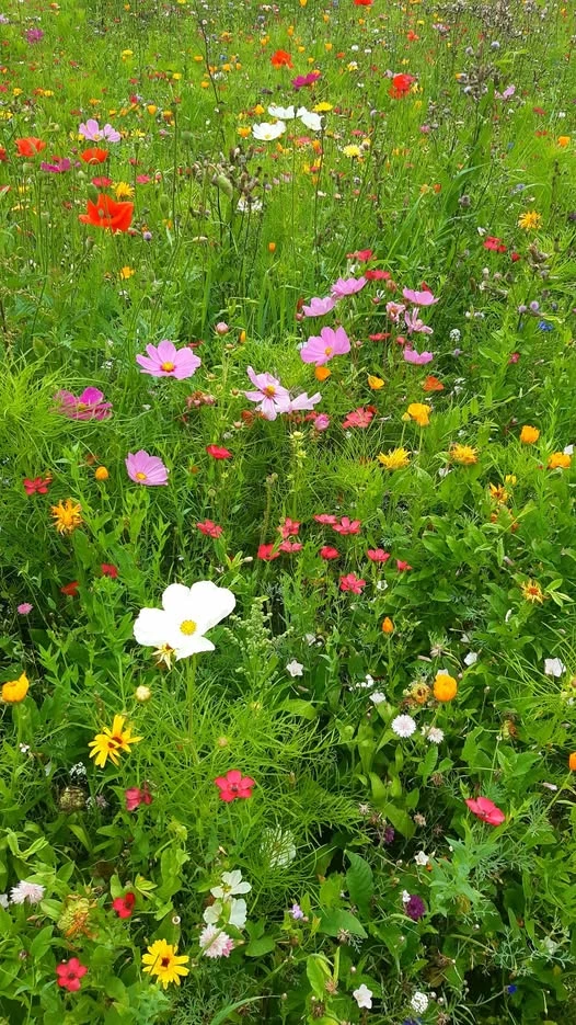 Zdjęcie dodane przez Bogdan