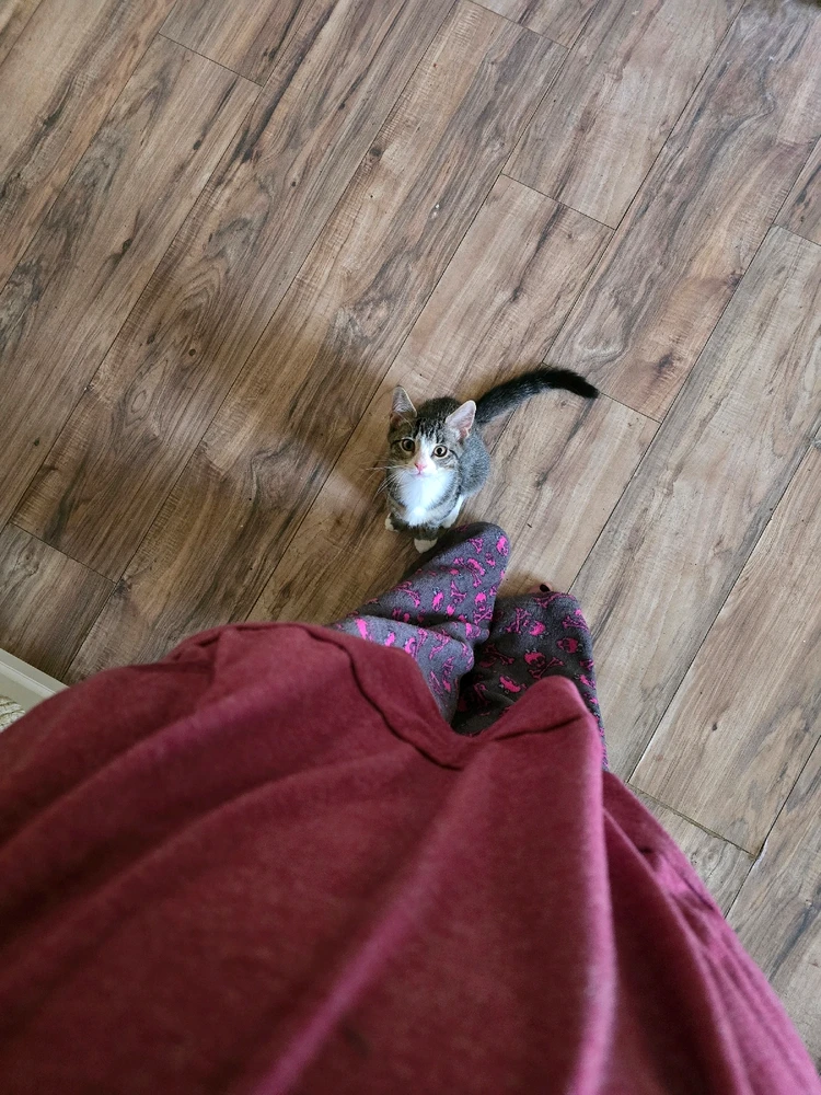 GIF uploaded by Martha