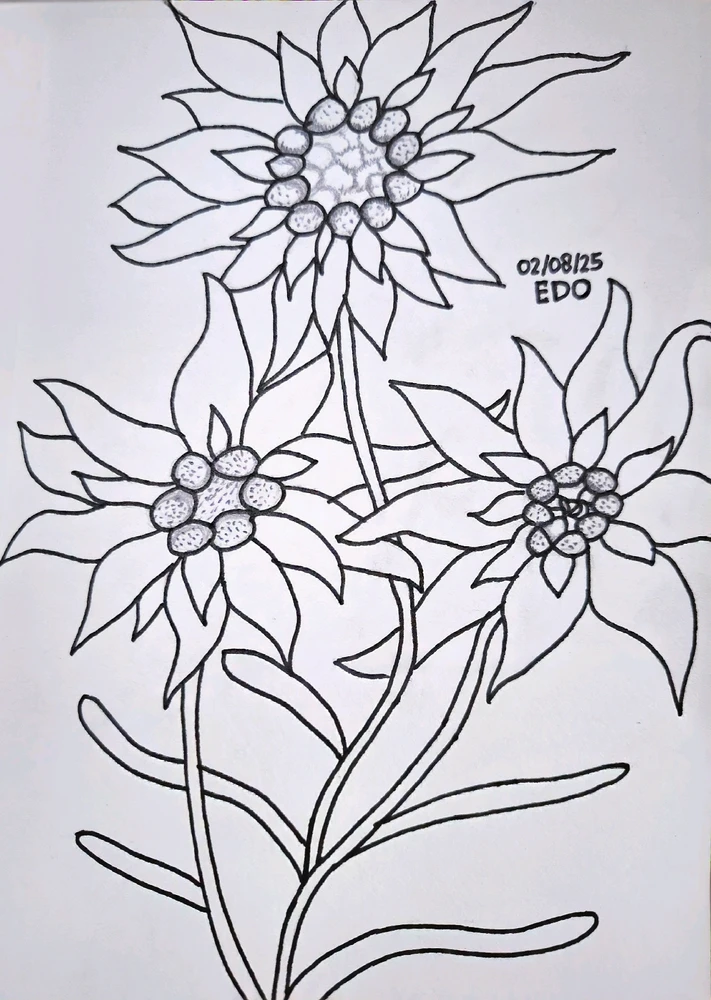 Edo上傳的圖片