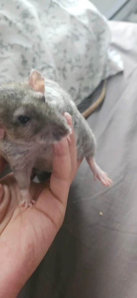 Image uploaded by mimi