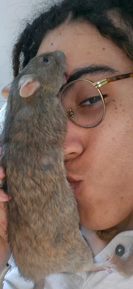 Image uploaded by mimi