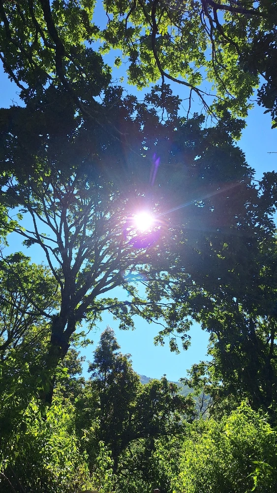 Image uploaded by Ayu