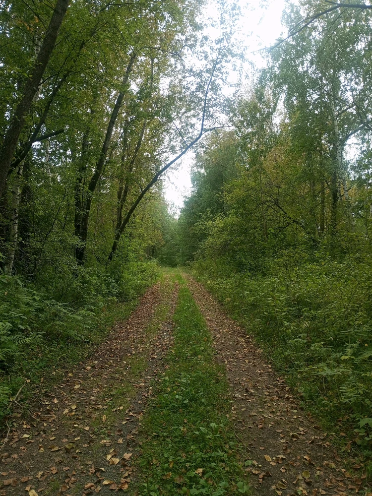 GIF загрузил Владимир