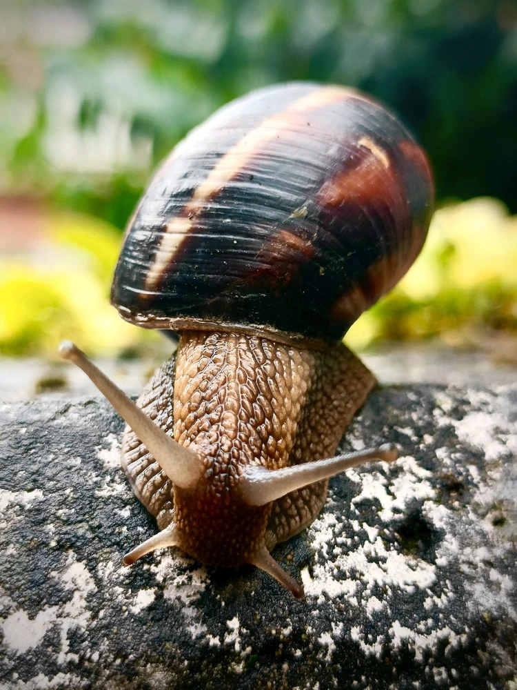 GIF caricata da Davide