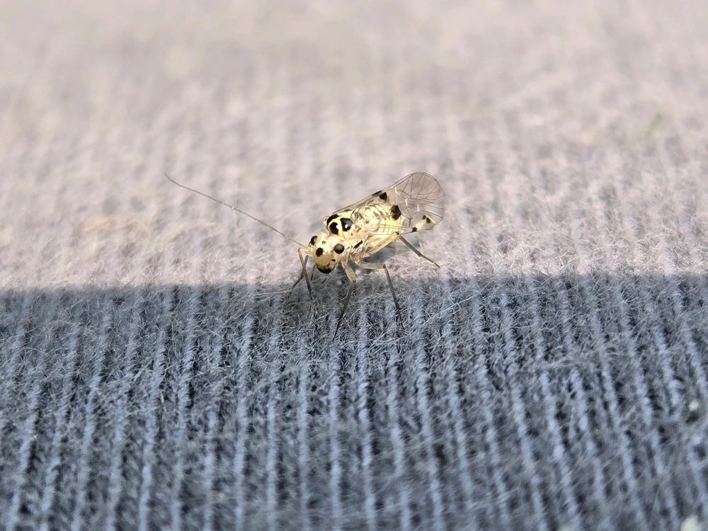 GIF diunggah dening Luke