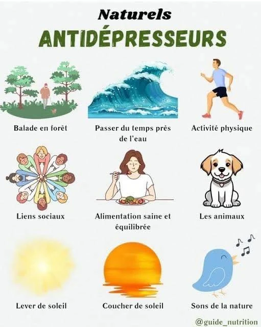 Image ajoutée par Geoffrey