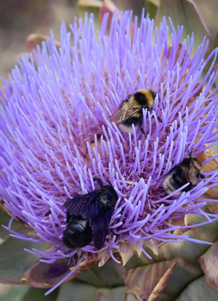 GIF ajouté par Caroline