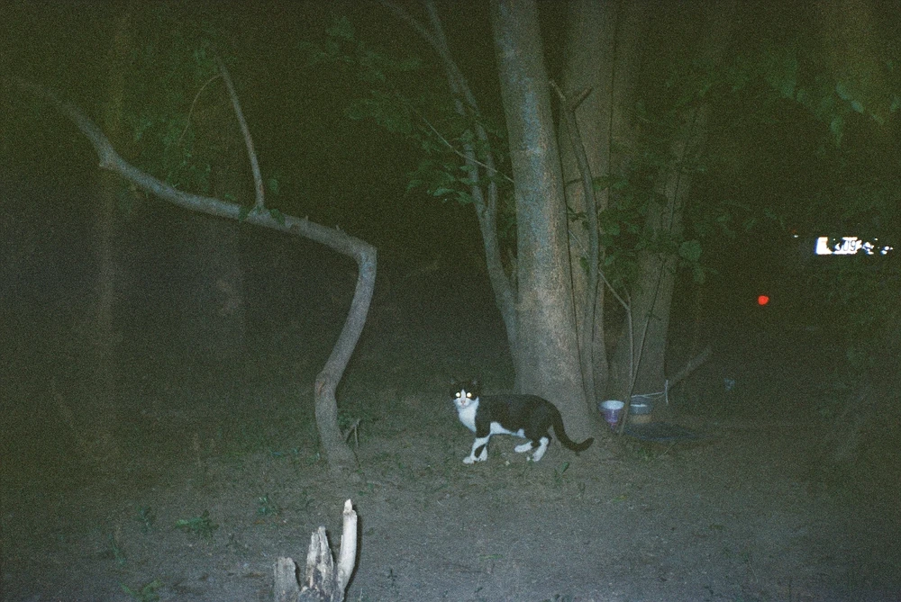 GIF загружаны Влад