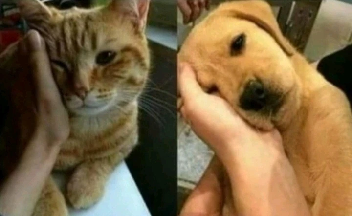 GIF uploaded by Aylin