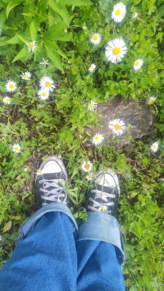 Imagen subida por Elizabeth