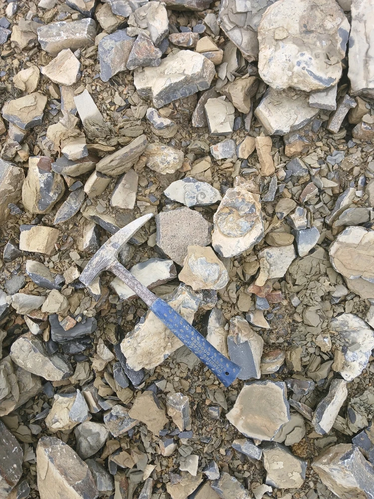 Bild hochgeladen von Herbert = ᚺᛖᚱᛒᛖᚱᛏ