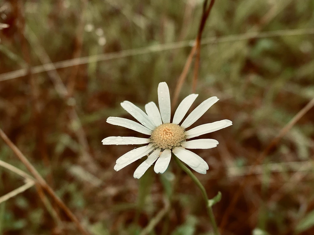 GIF hochgeladen von Tom