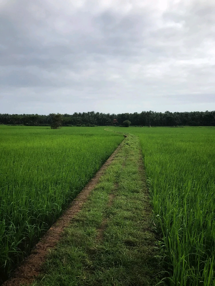 GIF uploaded by Vijesh
