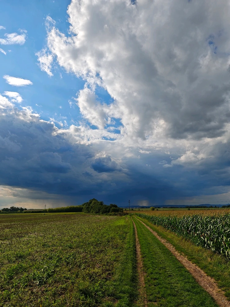 Obrázek nahrál Radek
