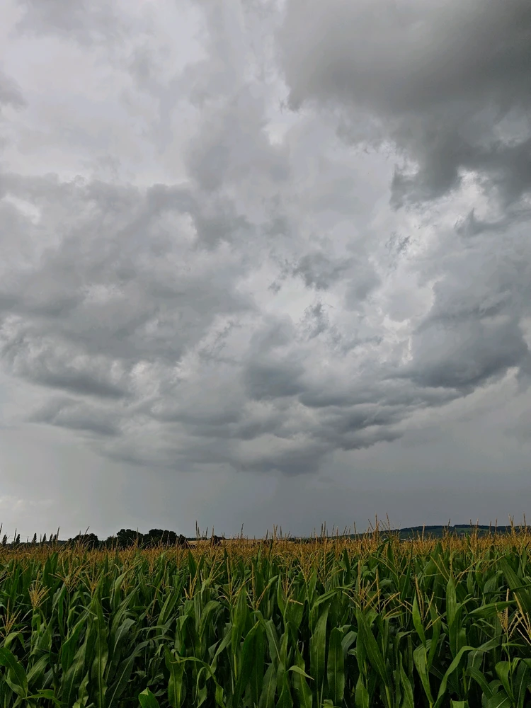 Obrázek nahrál Radek