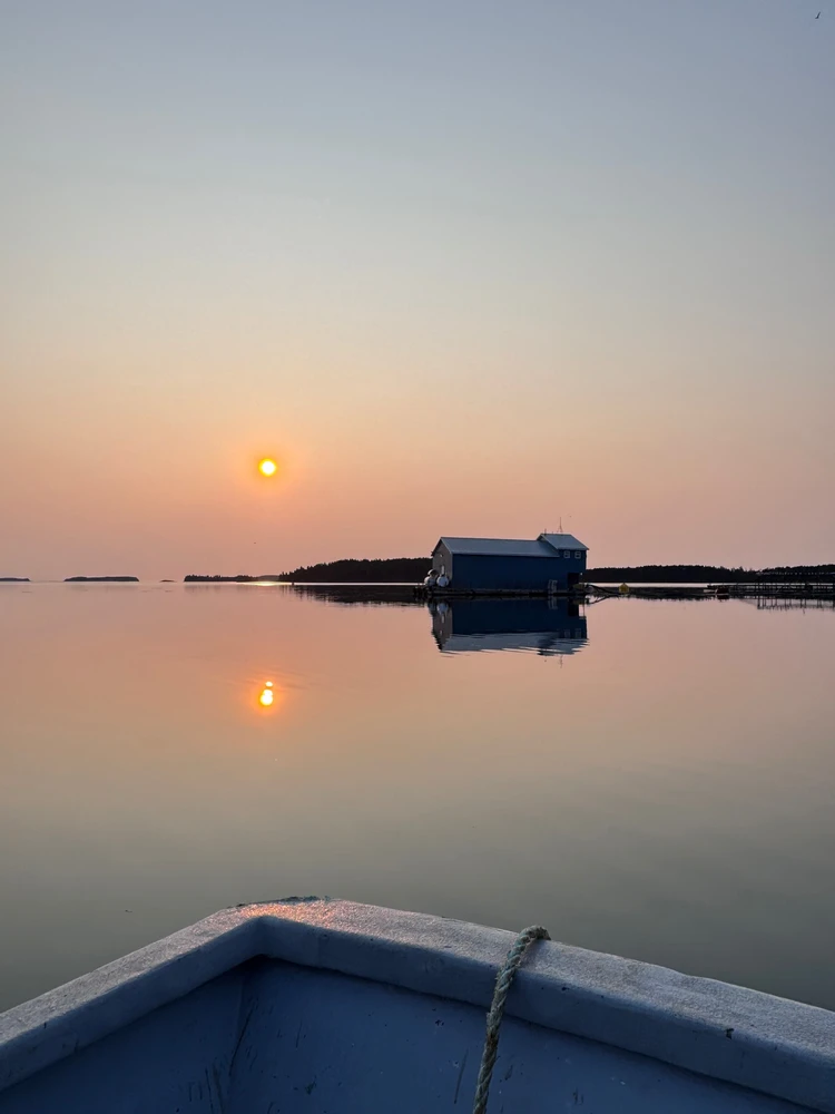 GIF uploaded by brian