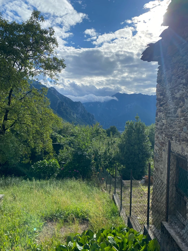 Immagine caricata da Luca the mente