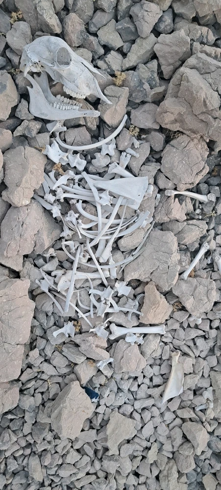 GIF nahrál Vojtěch