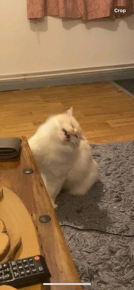 Image uploaded by David