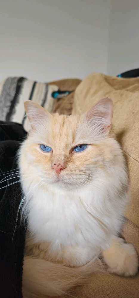 Image uploaded by David