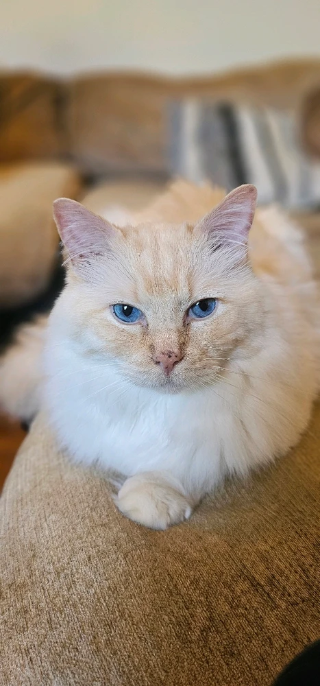 Image uploaded by David