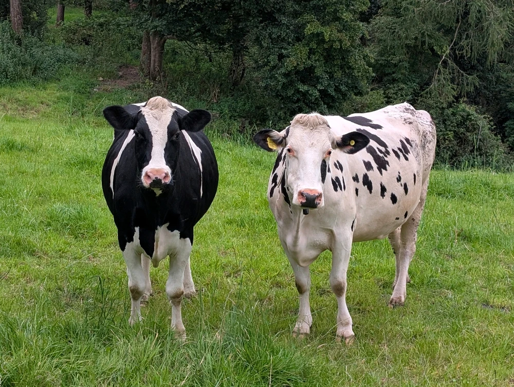 GIF uploaded by Graeme