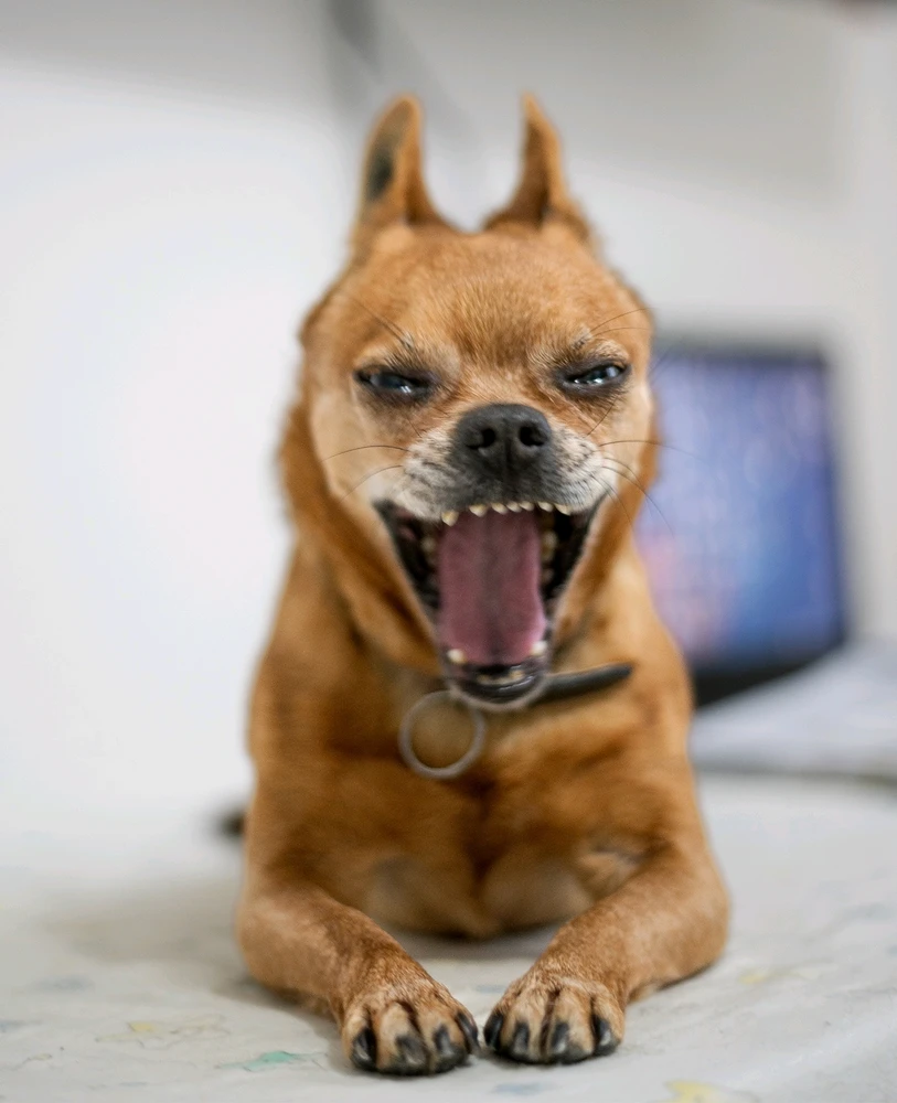 GIF caricata da Michele