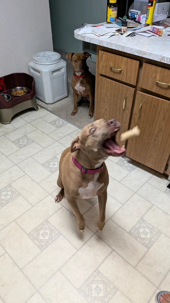 GIF uploaded by StinkyCheese