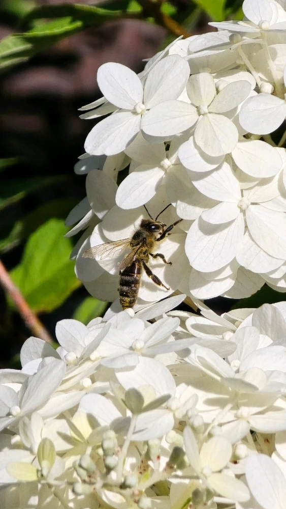 Гіфку завантажив Maxym