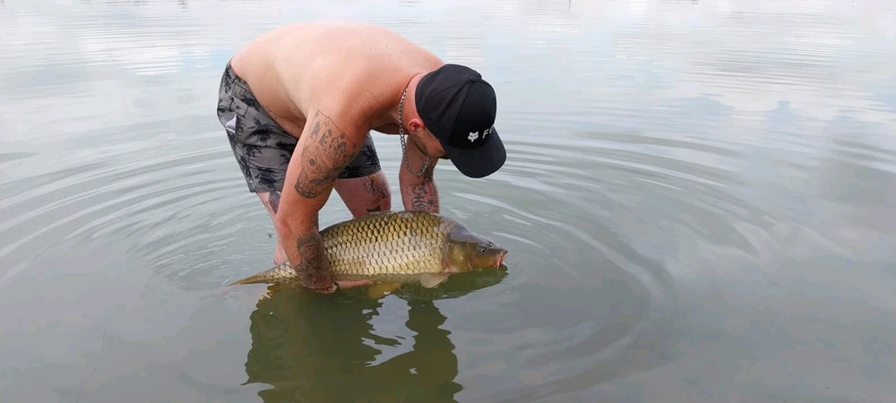 Obrázek nahrál Vašek