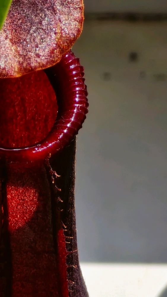 Зображення завантажив Maxym