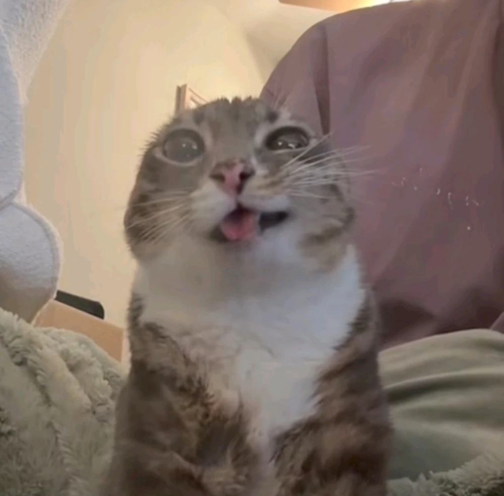 GIF įkėlė Denisas