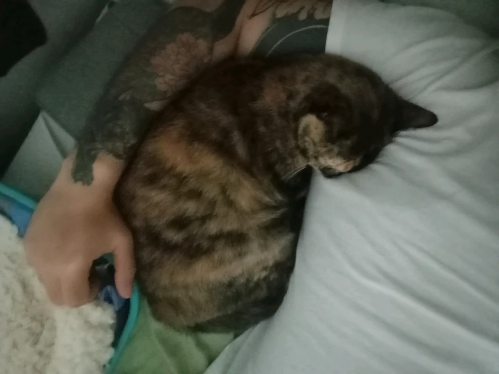 GIF enviado por Bernardo