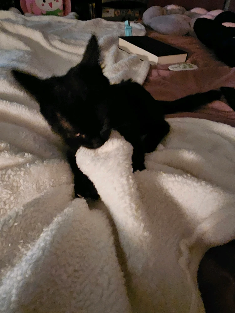 GIF uploaded by Diane