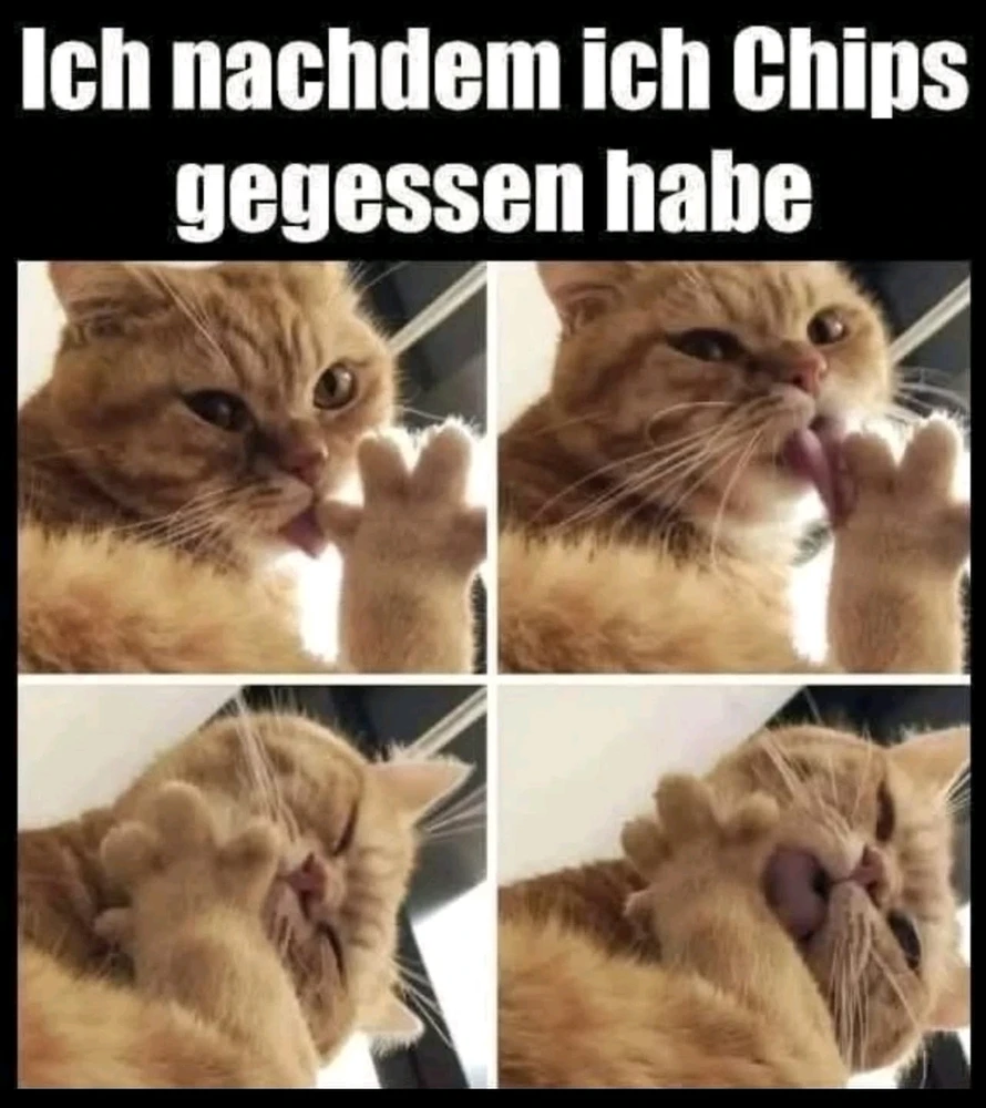 GIF hochgeladen von Kevin