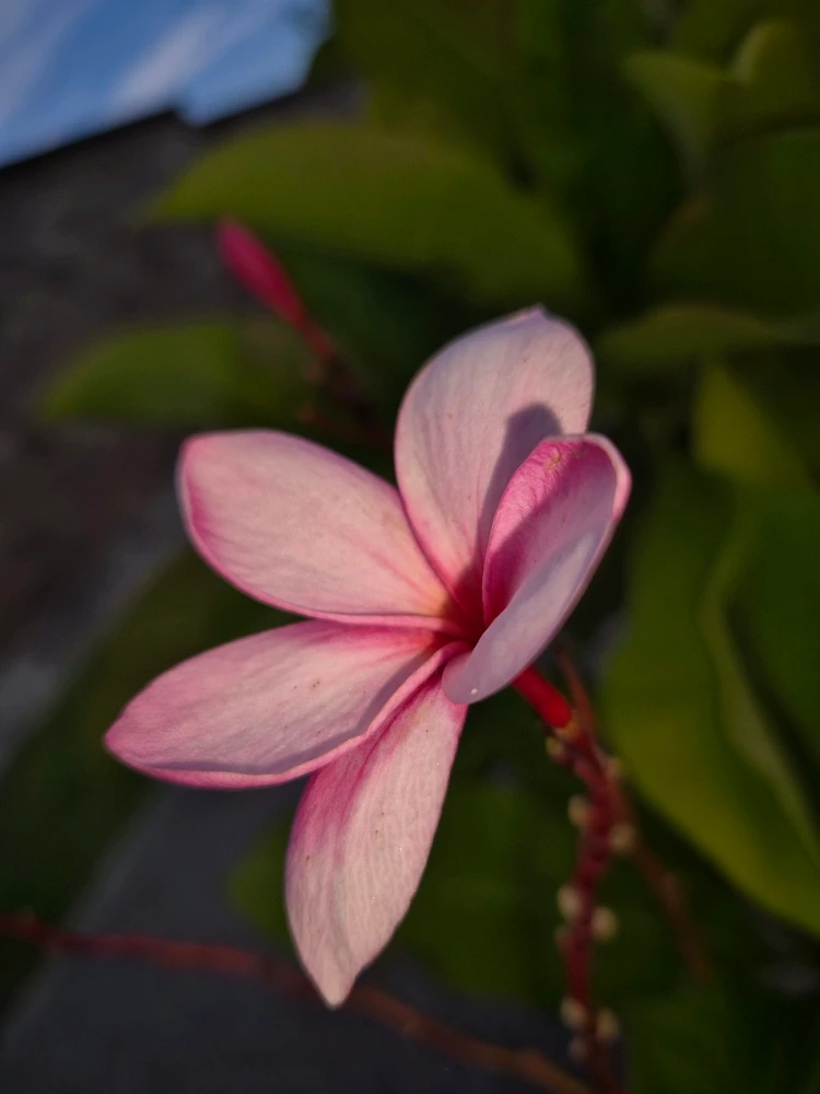 GIF subido por Angel Gerardo