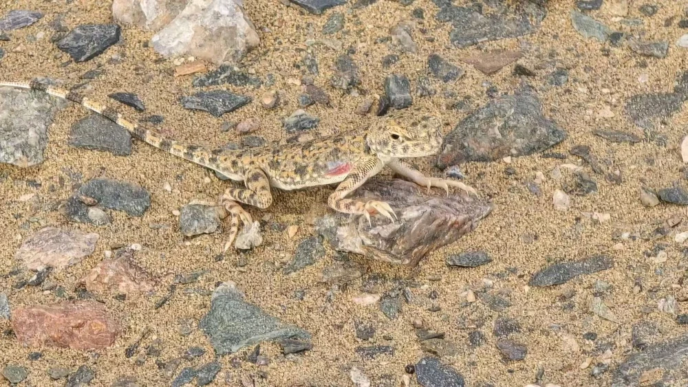 Bild hochgeladen von HA