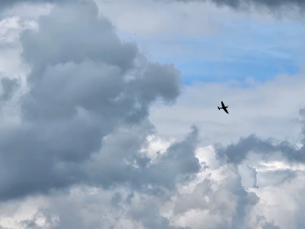 Image uploaded by Allan