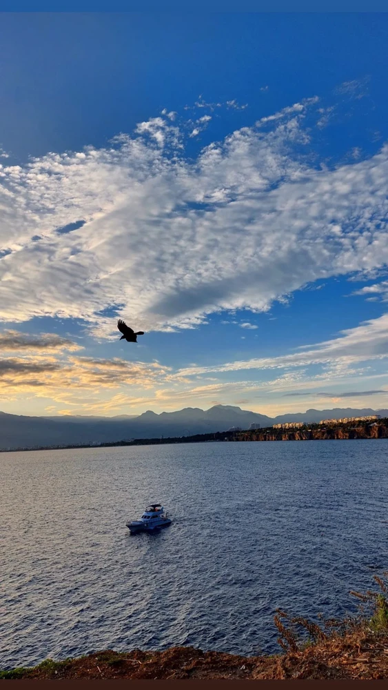 Ahmet tarafından yüklenen GIF