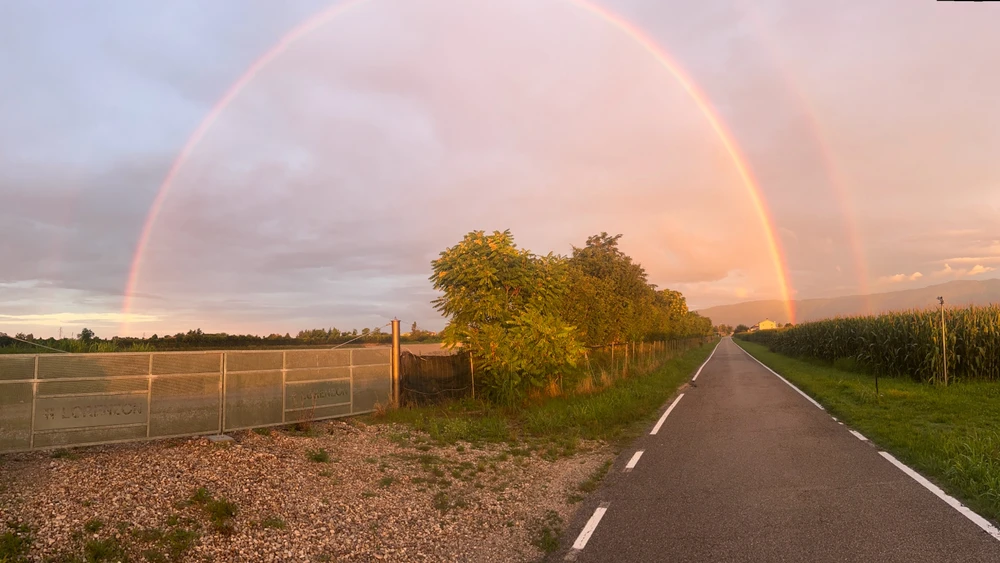 GIF caricata da Fabio