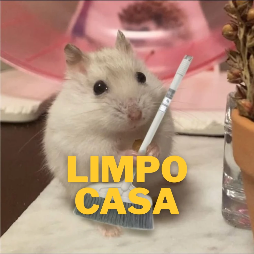 Resumindo minha rotina em hamster