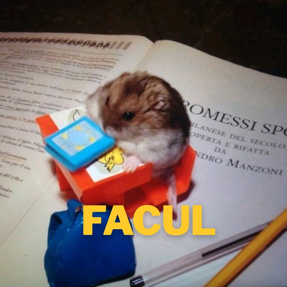 Resumindo minha rotina em hamster