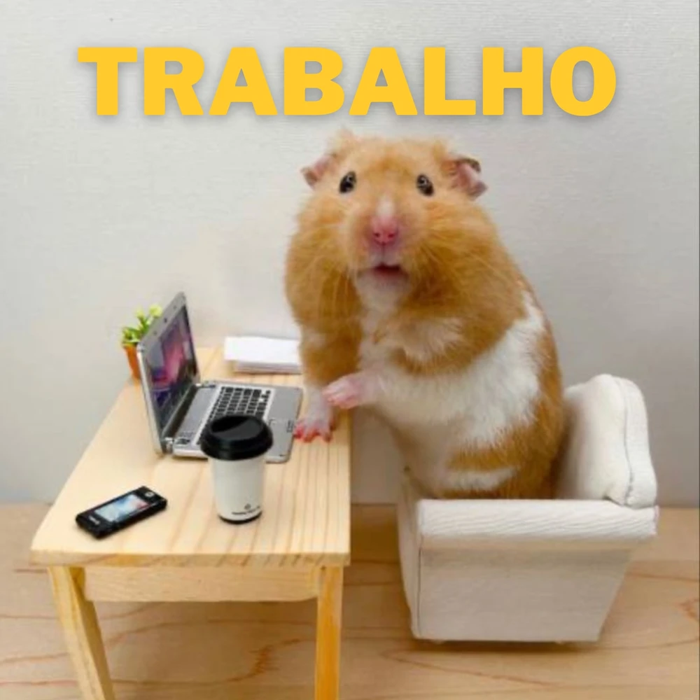Resumindo minha rotina em hamster