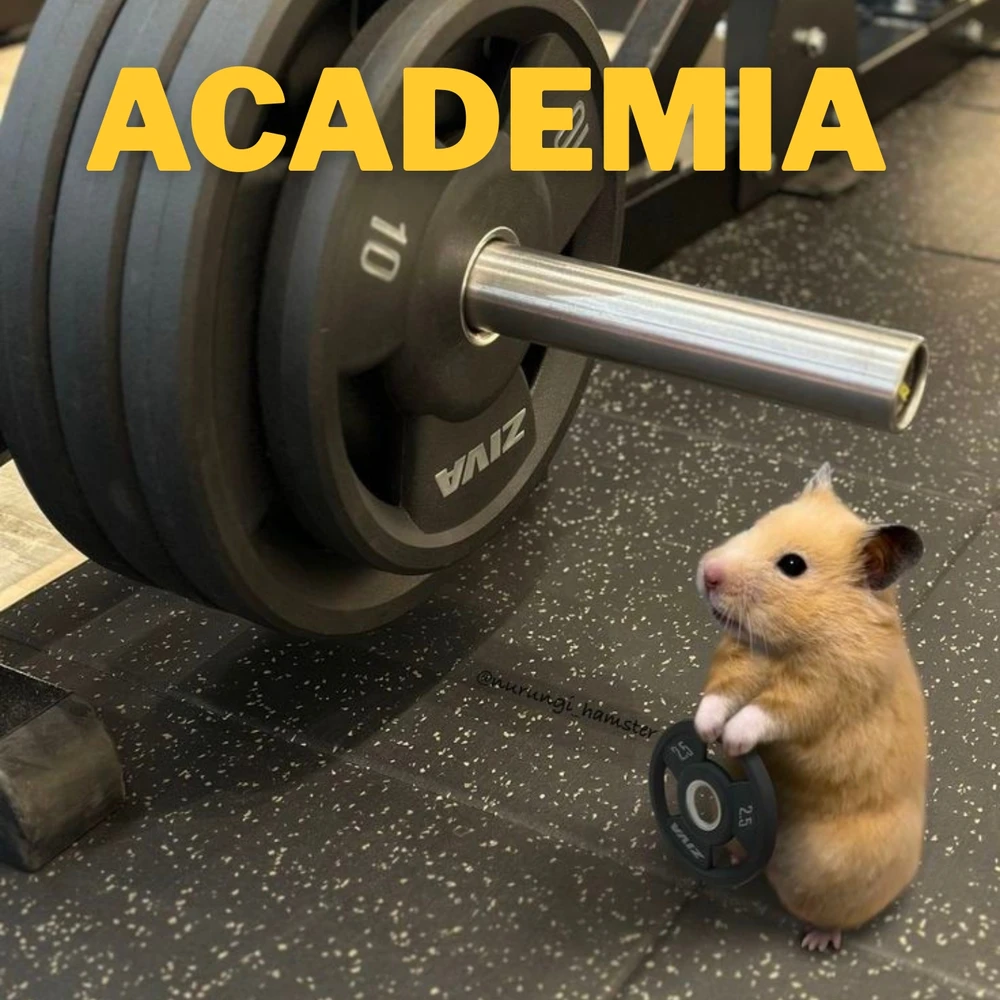 Resumindo minha rotina em hamster