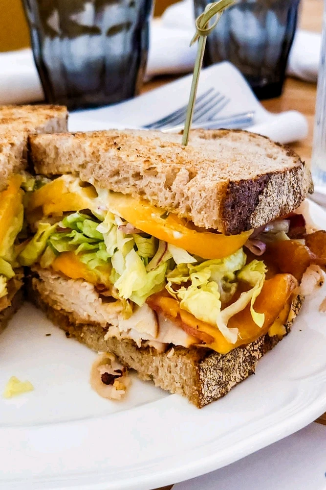 Image uploaded by Gainer