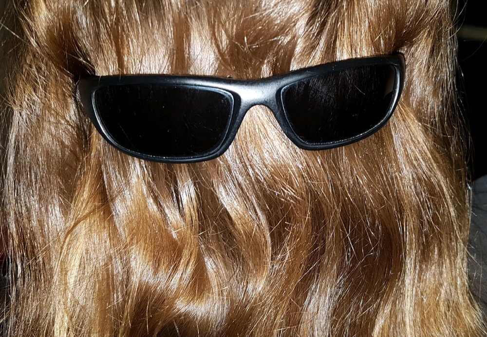 GIF încărcat de Alex