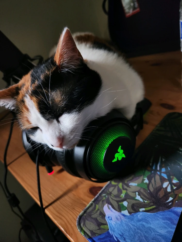 GIF uploaded by Renee